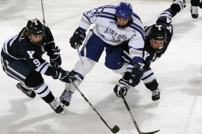 爱游戏娱乐-武磊手感滚烫，带领川崎前锋险胜费城76人，赛后一句话霸气侧漏